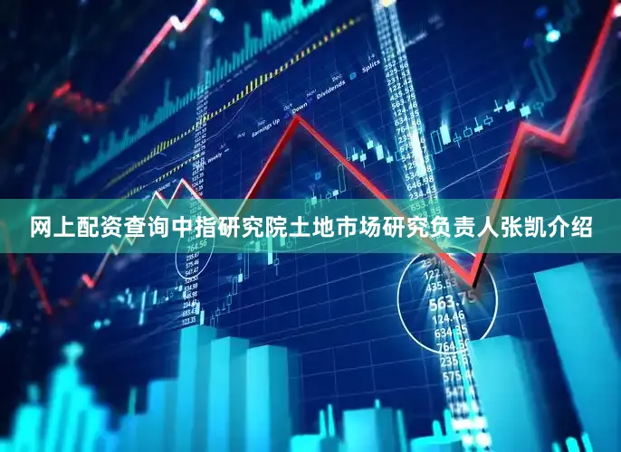 网上配资查询中指研究院土地市场研究负责人张凯介绍